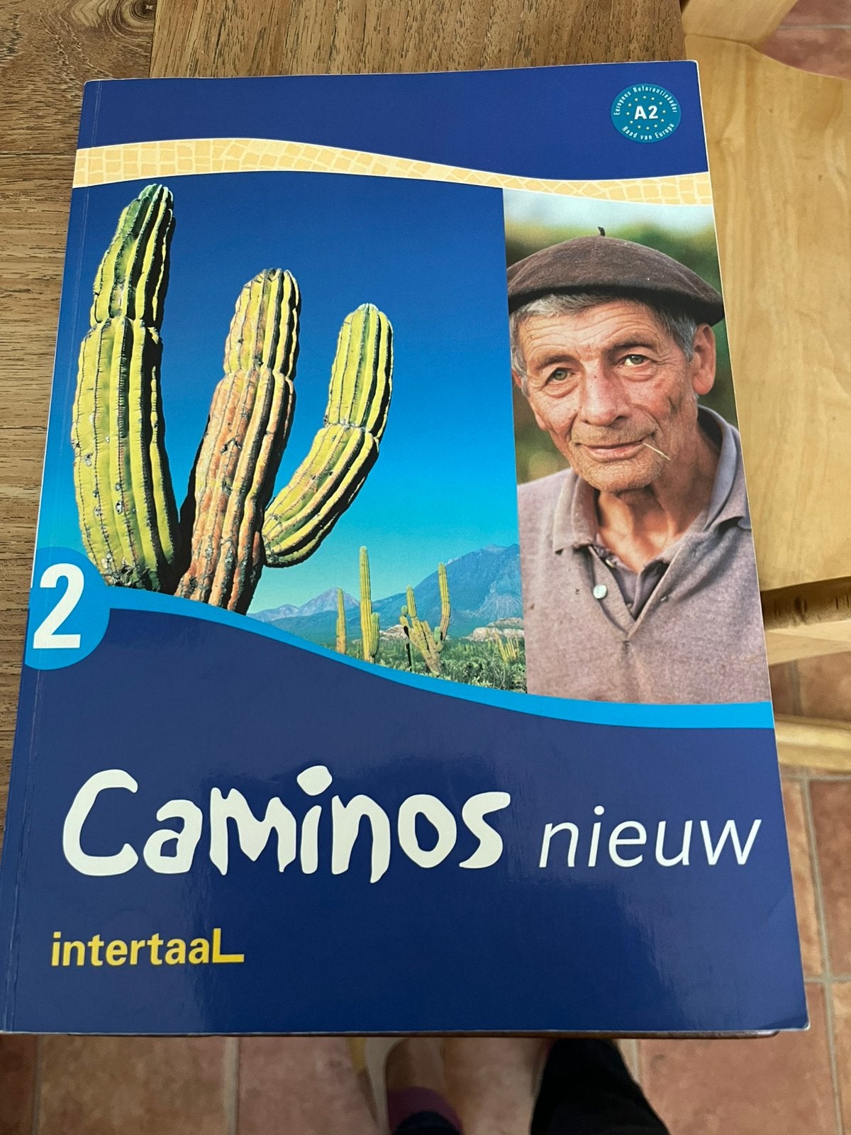 Te koop gevraagd   Spaans leerboek Caminos 2. ( 2hands), Boeken, Ophalen of Verzenden, Gelezen
