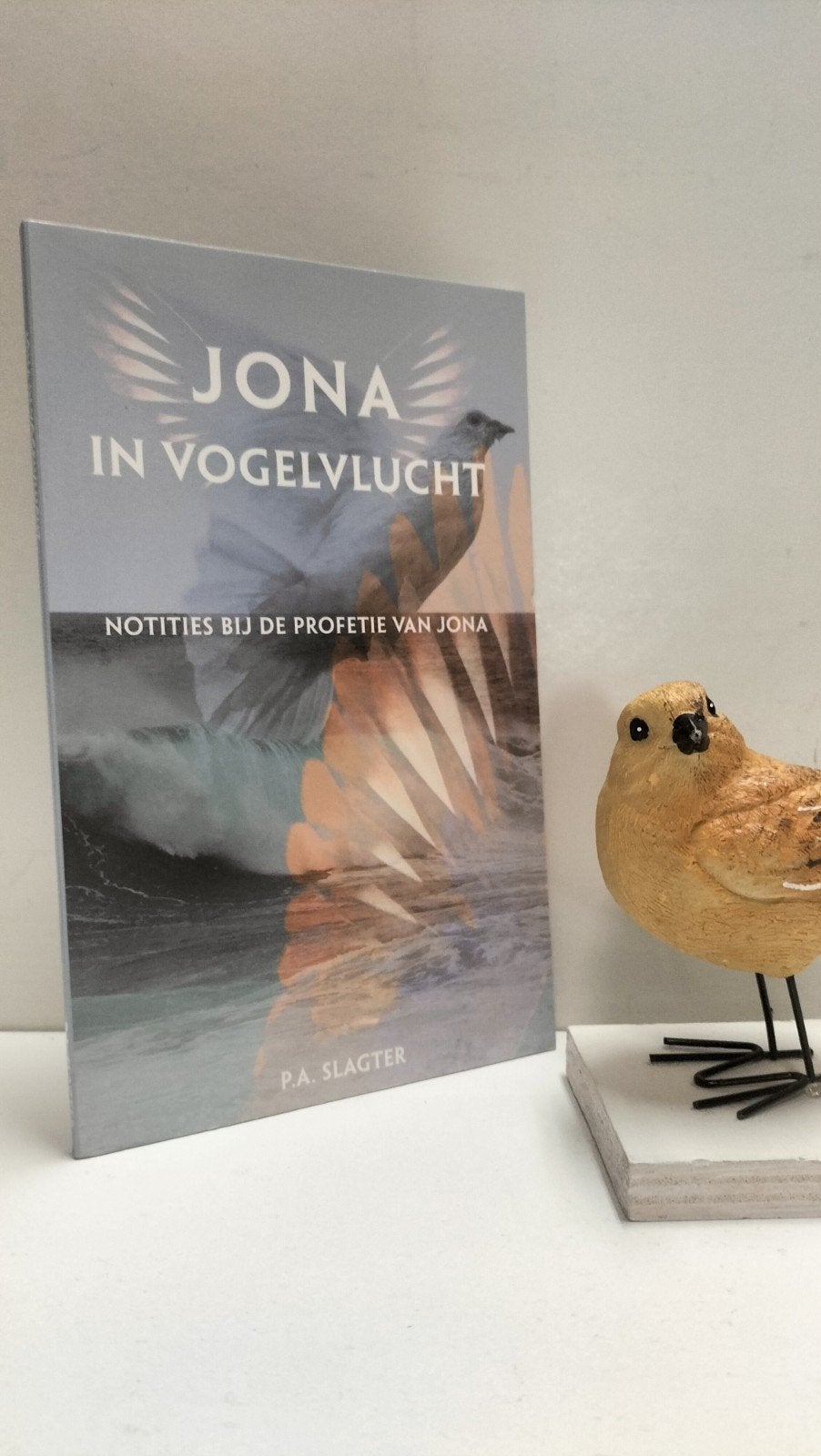 Slagter, P.A.; Jona in vogelvlucht, Ophalen of Verzenden, Gelezen, Christendom | Protestants