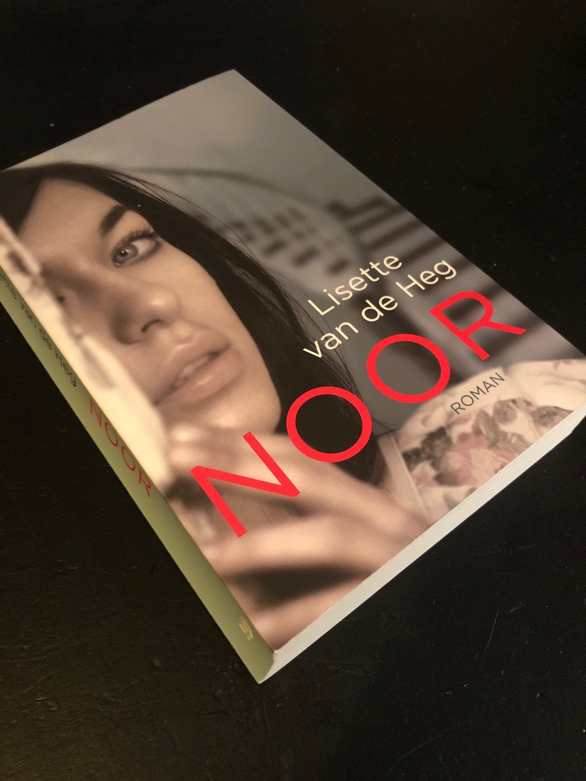 Noor - Lisette van de Heg (Roman), Ophalen of Verzenden, Zo goed als nieuw