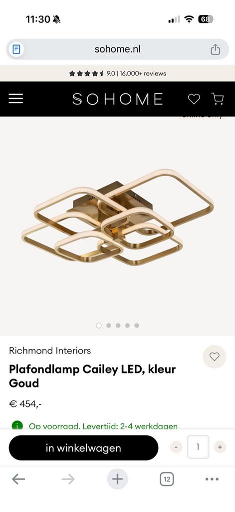 Set van 2 Richmond lampen: Plafondlamp Cailey & Hanglamp Fly, Ophalen, Zo goed als nieuw, Metaal, 50 tot 75 cm