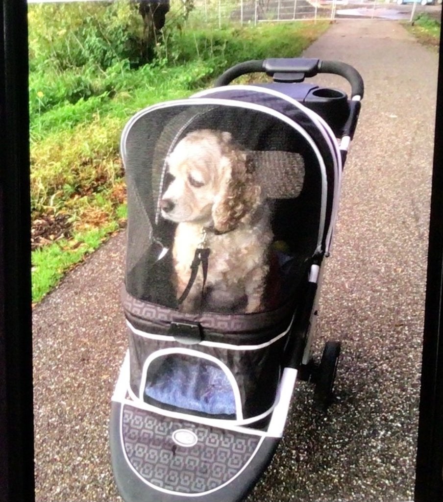 Innopet  Hondenbuggy Monaco, Ophalen, Zo goed als nieuw