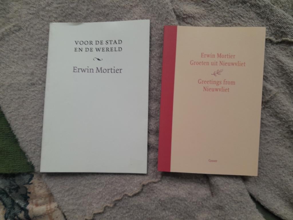Gesigneerde boeken Erwin Mortier - Voor de stad en de wereld, Ophalen of Verzenden