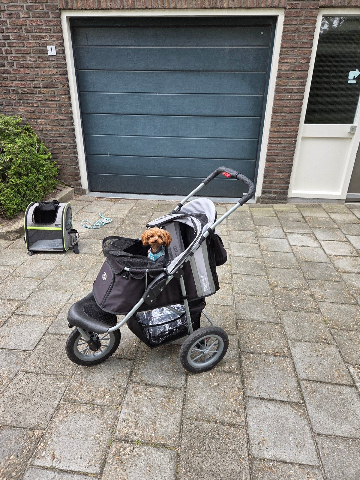 Innopet all-terrain buggy 1 of 2 hondjes, regenhoes, tas, Ophalen, Gebruikt