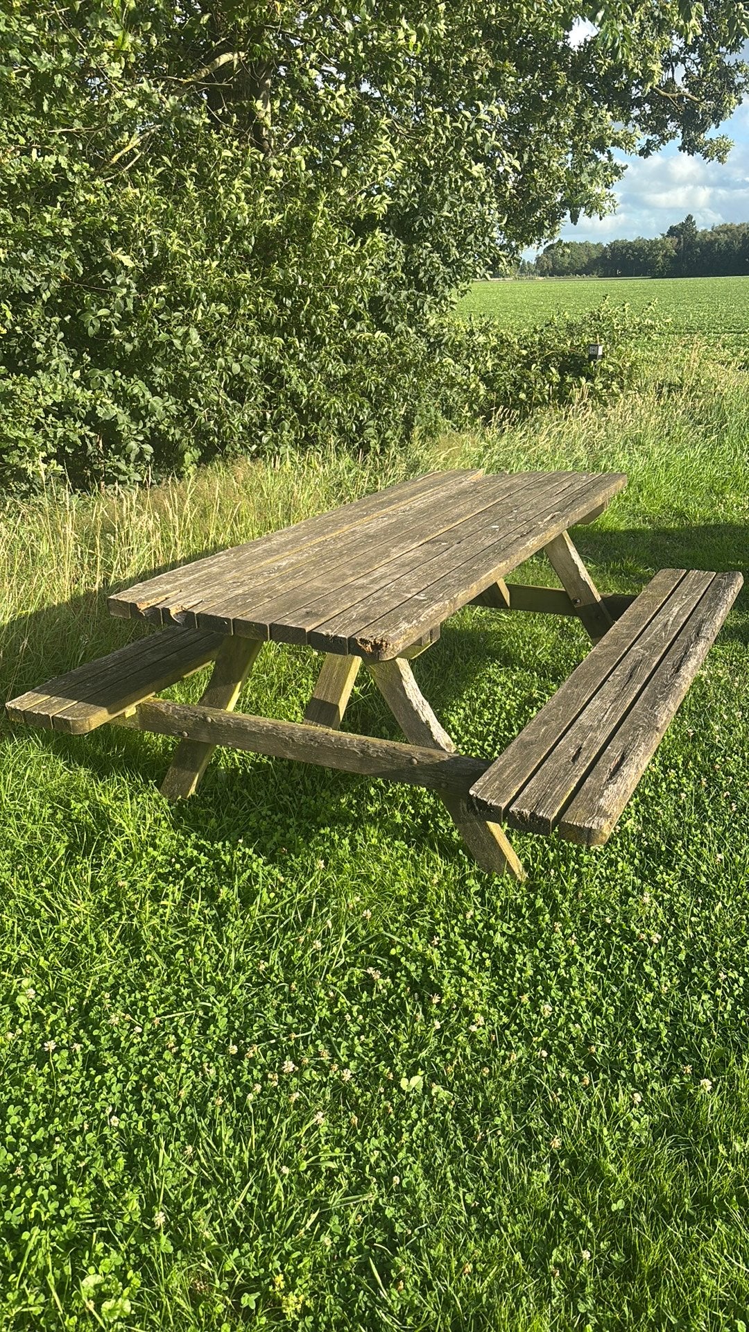 Picknick bank gebruikt, Ophalen, Zo goed als nieuw, Rechthoekig, Hout