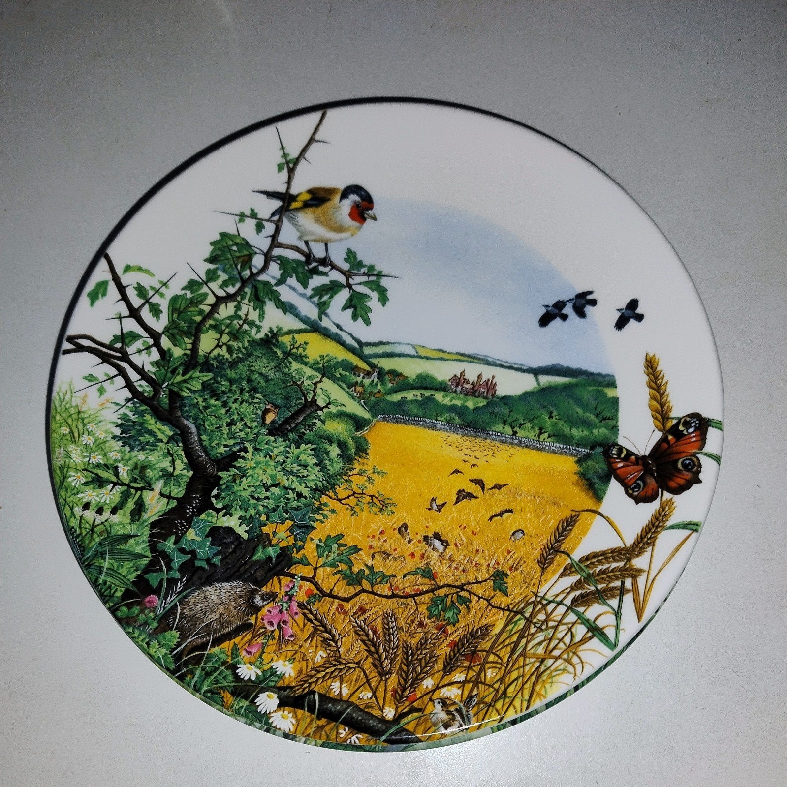 Wedgwood Colin Newman Country Panorama Platen Set, Antiek en Kunst, Antiek | Wandborden en Tegels, Ophalen