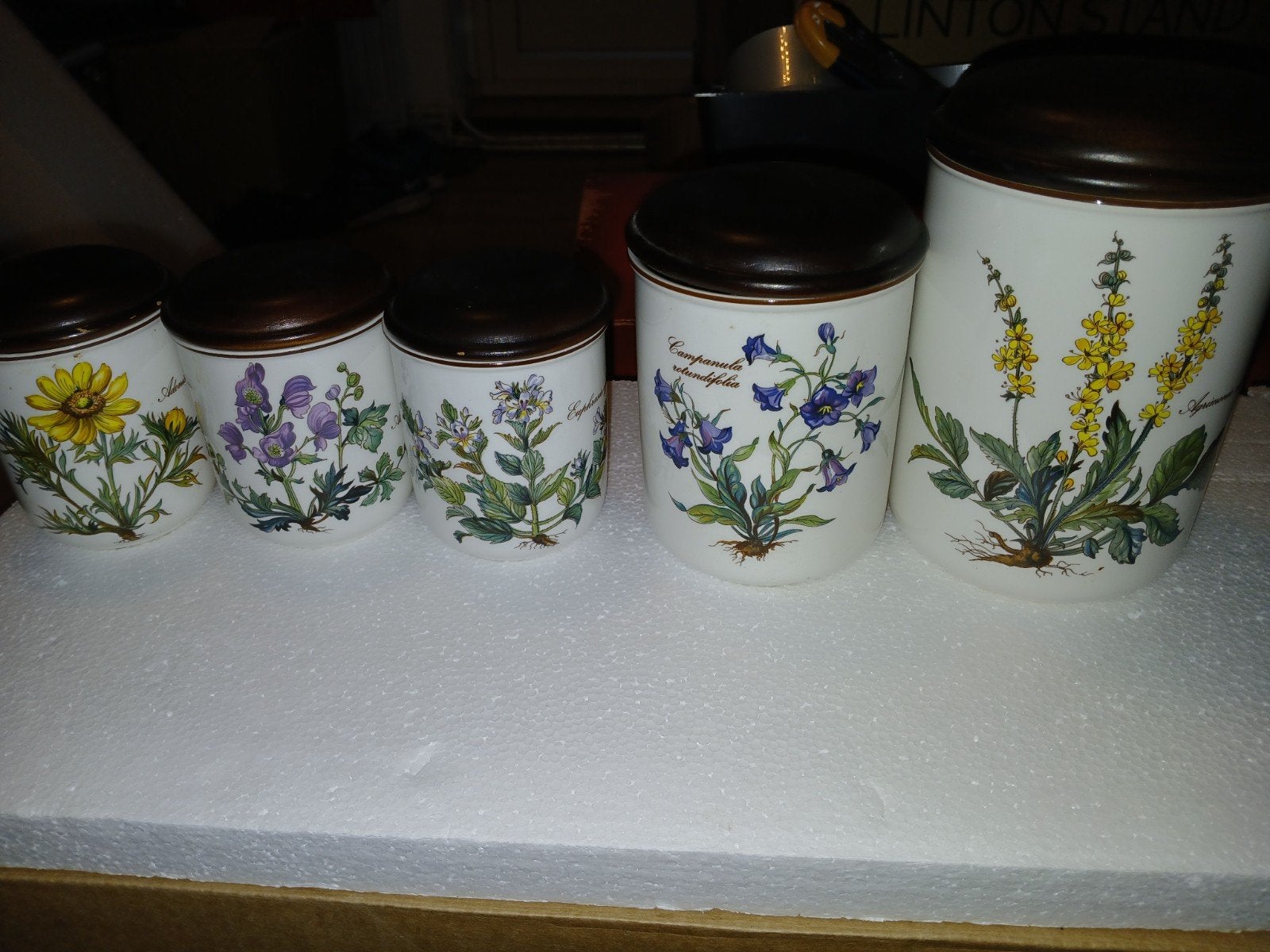 Villeroy & Boch Botanica voorraadpotten set, Klassiek, Ophalen of Verzenden, Zo goed als nieuw, Porselein