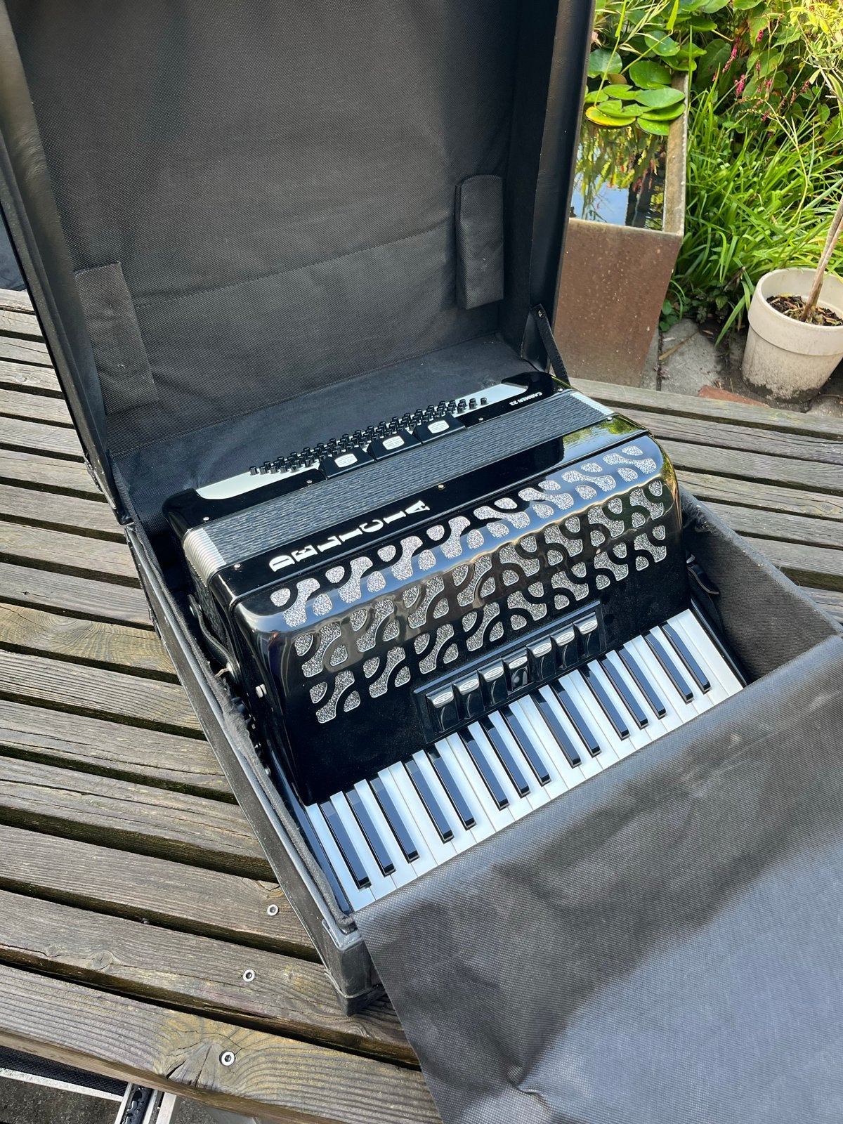 Delicia Carmen 22 Toetsaccordeon met koffer en riemen, Gebruikt, Overige formaten, Met koffer, Delicia