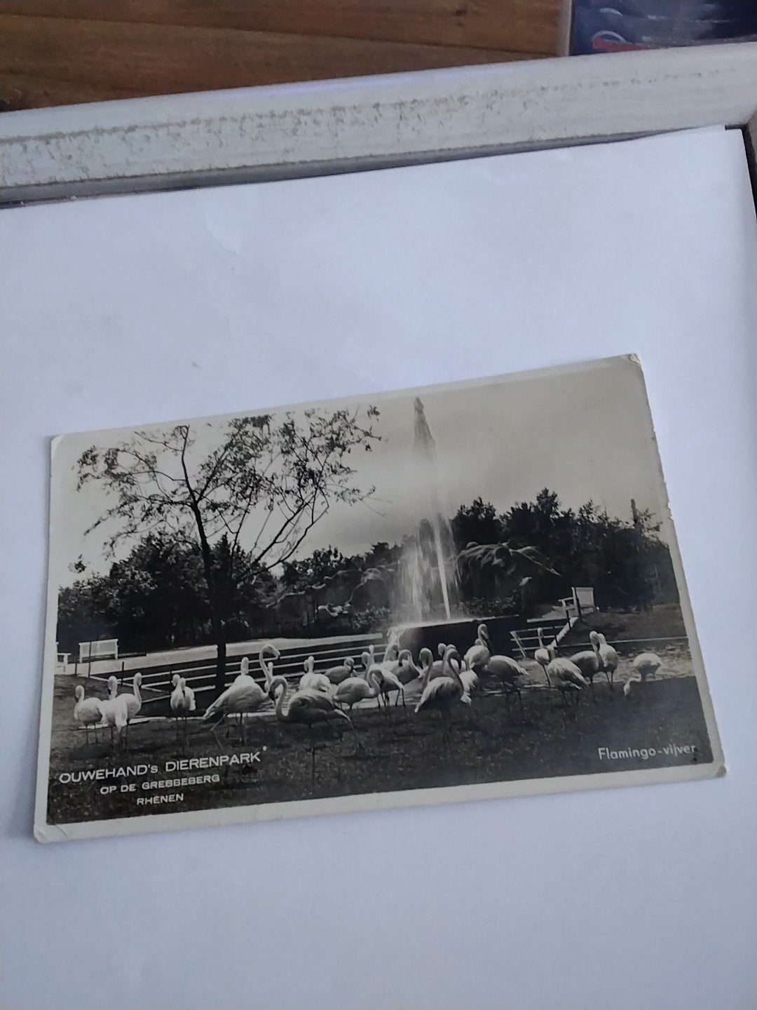 RHENEN. OUWEHAND'S DIERENPARK. OP DE GREBBEBERG 1938, Verzamelen, Ansichtkaarten | Nederland, Ophalen of Verzenden, 1920 tot 1940