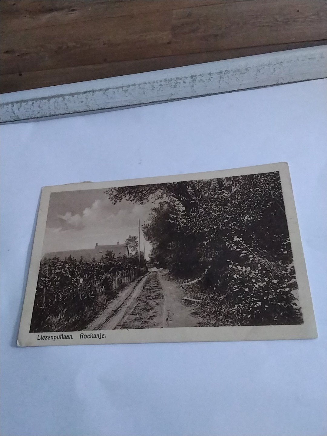 Oude ansichtkaart Liezenpullaan, Rockanje, Ophalen of Verzenden, Voor 1920, Gelopen, Zuid-Holland