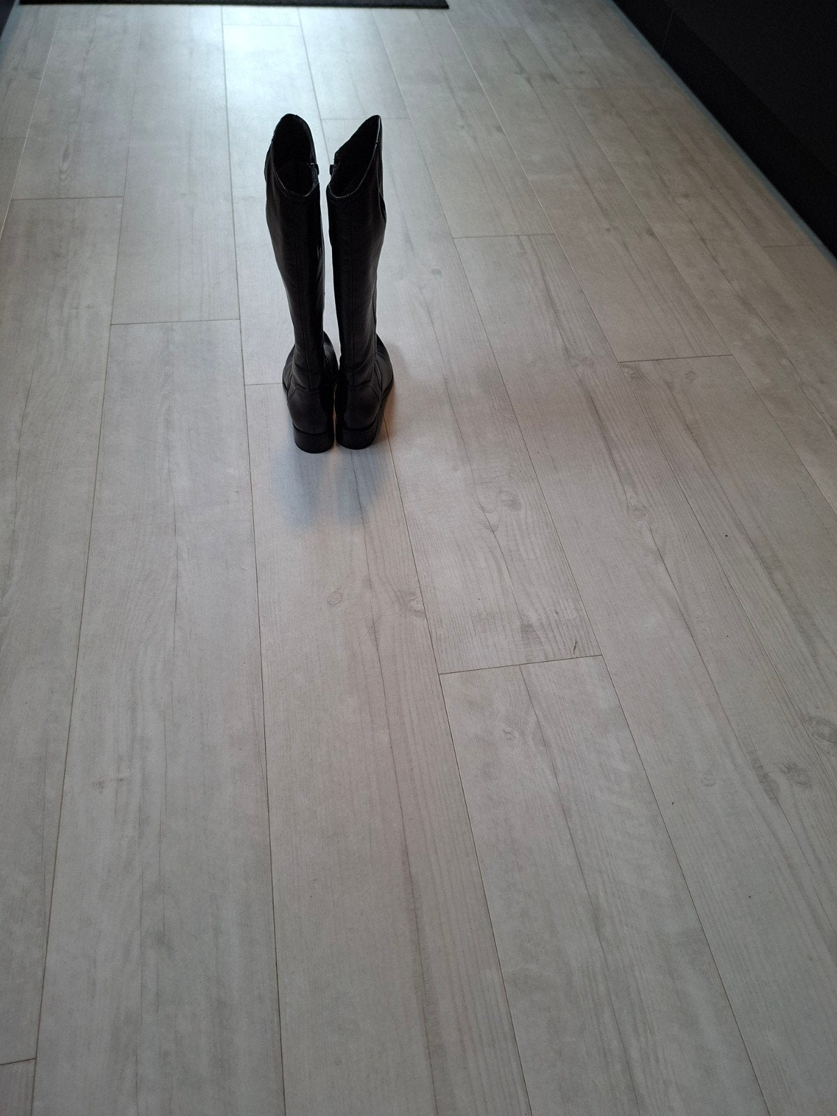 Dames laarzen donkerbruin Everybody 38,5, Hoge laarzen, Bruin, Everybody, Ophalen of Verzenden