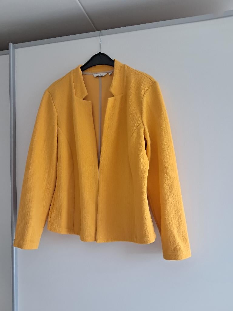 Jasje voor dames, Kleding | Dames, Jasjes, Kostuums en Pakken, Zo goed als nieuw, Jasje, Maat 46/48 (XL) of groter, Geel, Verzenden
