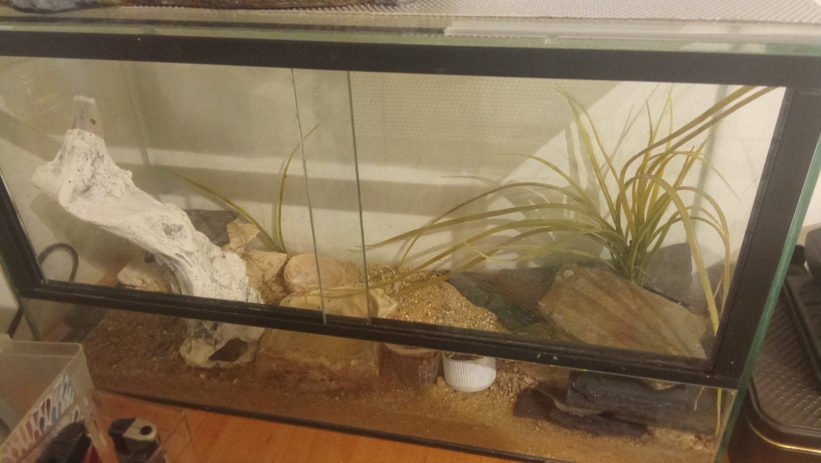 Klein glazen terrarium 40 B 23.5 H 15.5 D, Ophalen