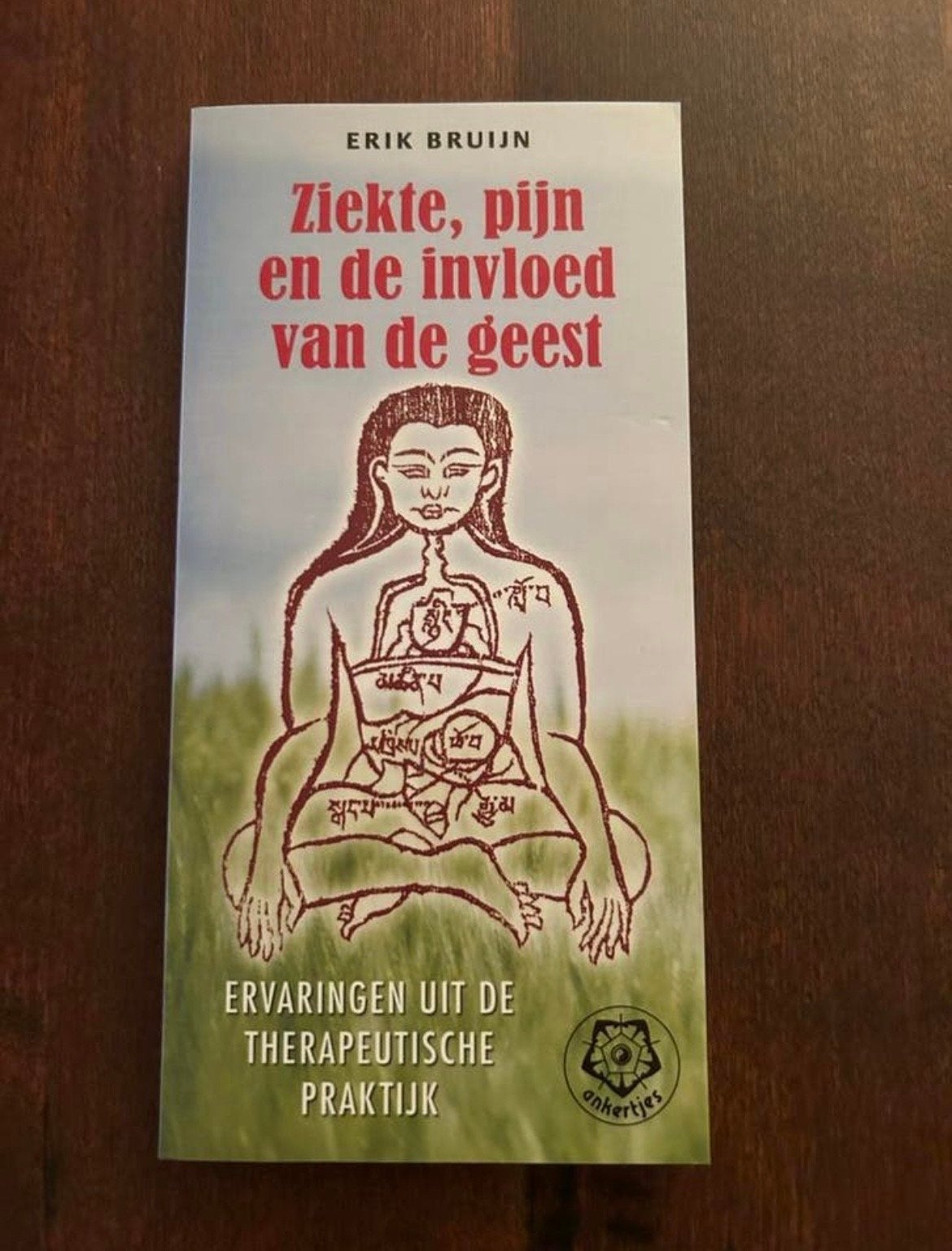 Ziekte, Pijn en de Invloed van de Geest - Erik Bruijn, Ophalen of Verzenden, Gelezen, Spiritualiteit algemeen, Achtergrond en Informatie