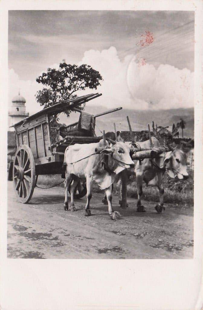 Nederlands Indië Medan Ossenwagen e.d. (gel. 1948), Ophalen of Verzenden, 1940 tot 1960, Gelopen, Buiten Europa