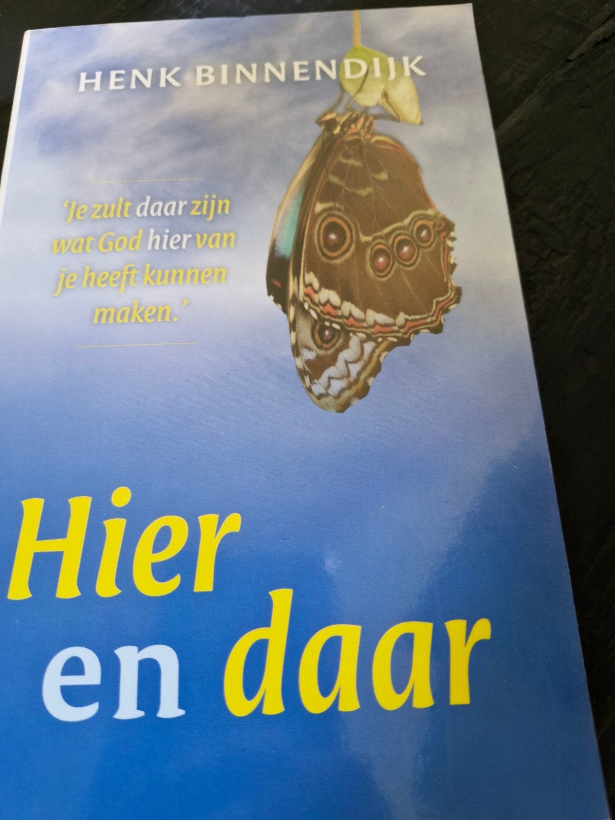 Henk Binnendijk - Hier en daar, Ophalen of Verzenden, Zo goed als nieuw, Henk Binnendijk