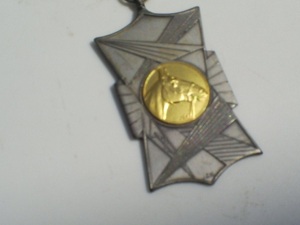 Epe medaille Kampioenschap streekwedstrijd Epe 1965  paard, Ophalen of Verzenden, Overige materialen, Nederland