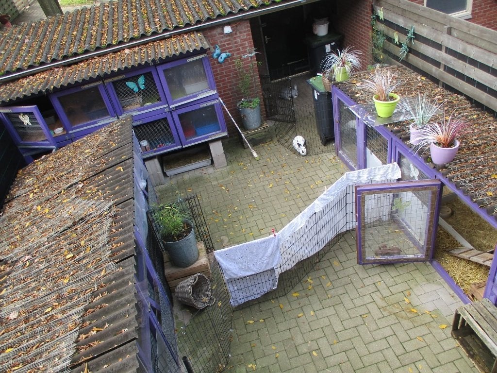 Gratis Grote Dierenverblijven, konijn, kip, geit, schaap, Ophalen, 90 cm of meer, Konijn, Hok