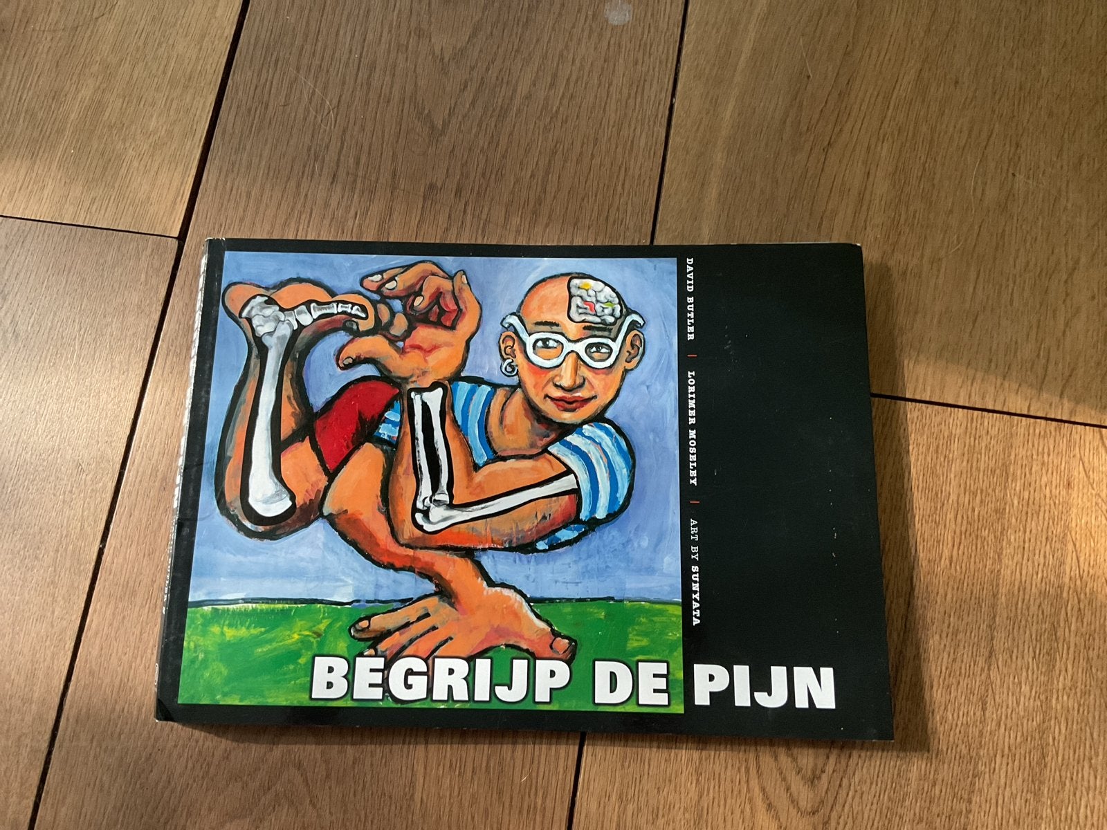 Begrijp de Pijn - Inzicht in chron pijn Butler en Moseley, Ophalen of Verzenden, Alpha, Zo goed als nieuw