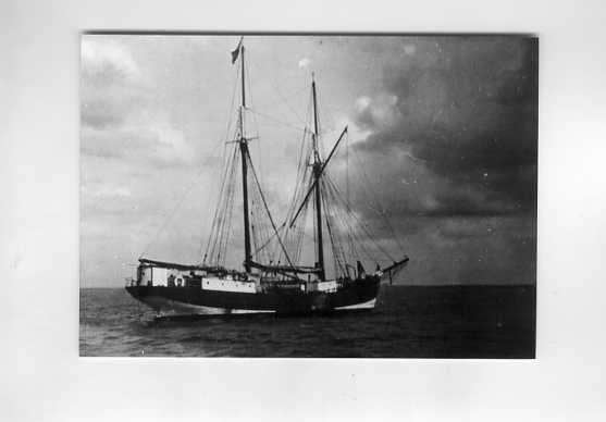 scheepvaart-foto-zeehond 1914, Ophalen of Verzenden, Zo goed als nieuw, Motorboot, Boek of Tijdschrift