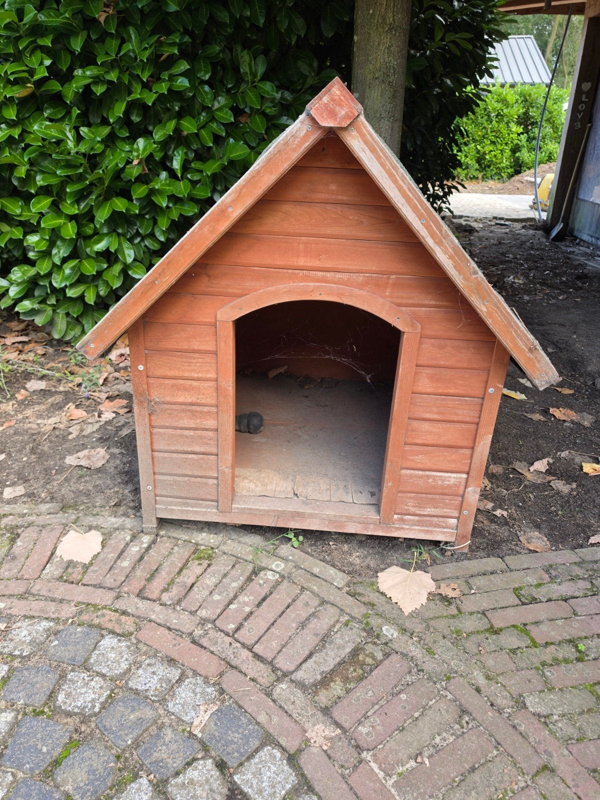 Hondenhok, Dieren en Toebehoren, Hondenhokken, Ophalen, 100 cm of meer, Hondenhok, 110 cm of meer
