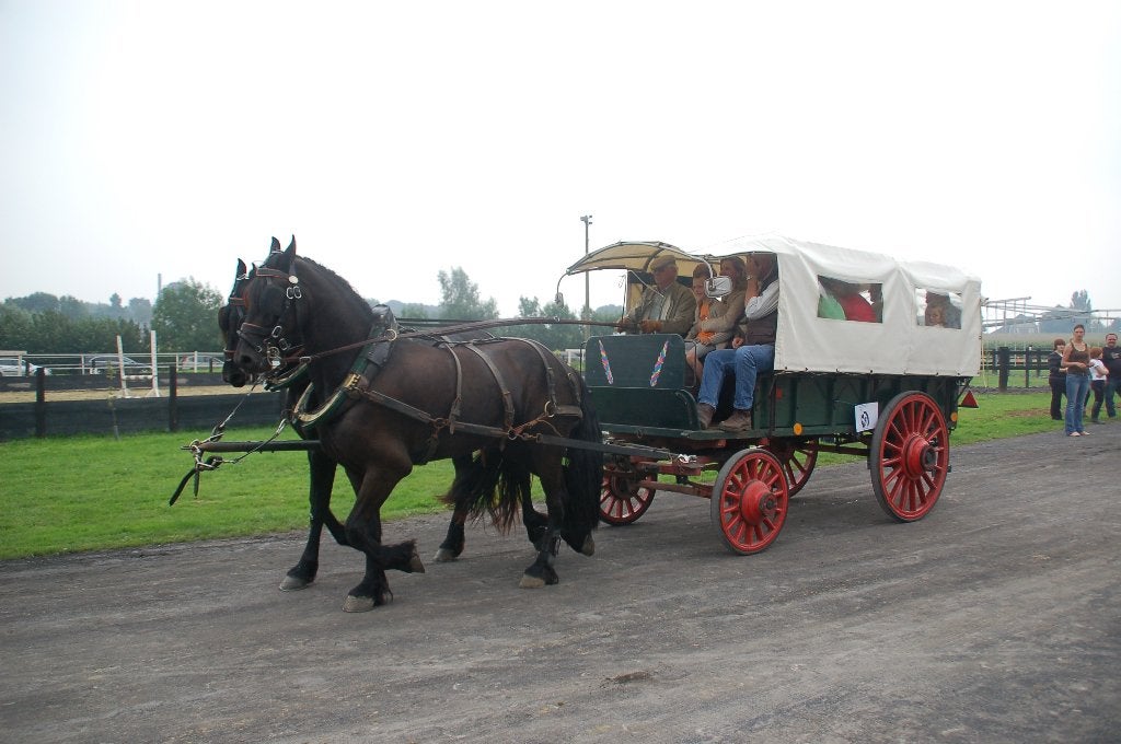 Huifwagen, Gebruikt, Overige typen, Paard, Gesloten