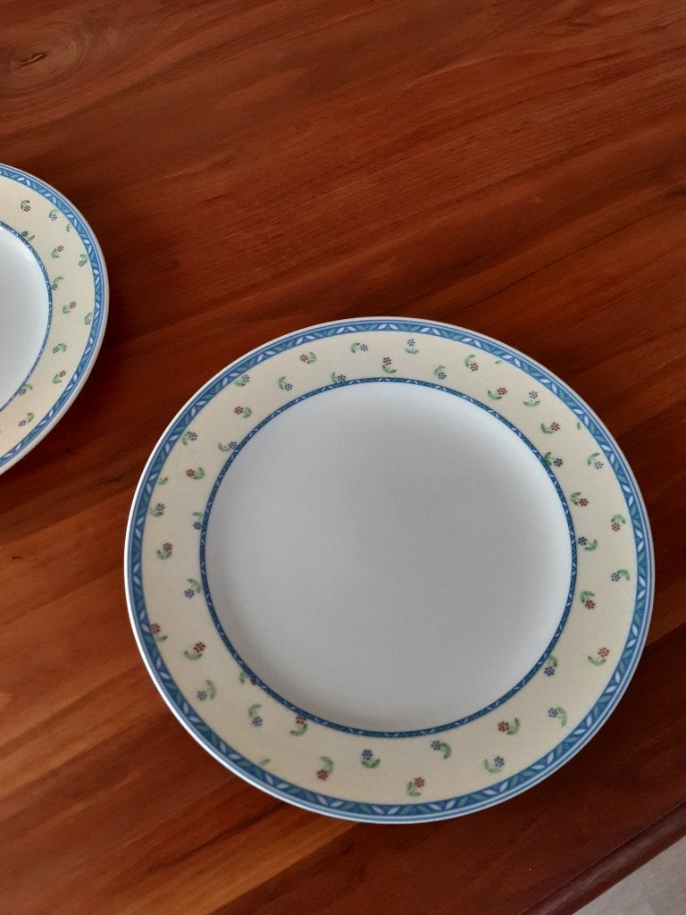 Twee Villeroy & Boch borden, 26,5 cm, Gebruikt, Villeroy & Boch, Ophalen of Verzenden, Bord(en)