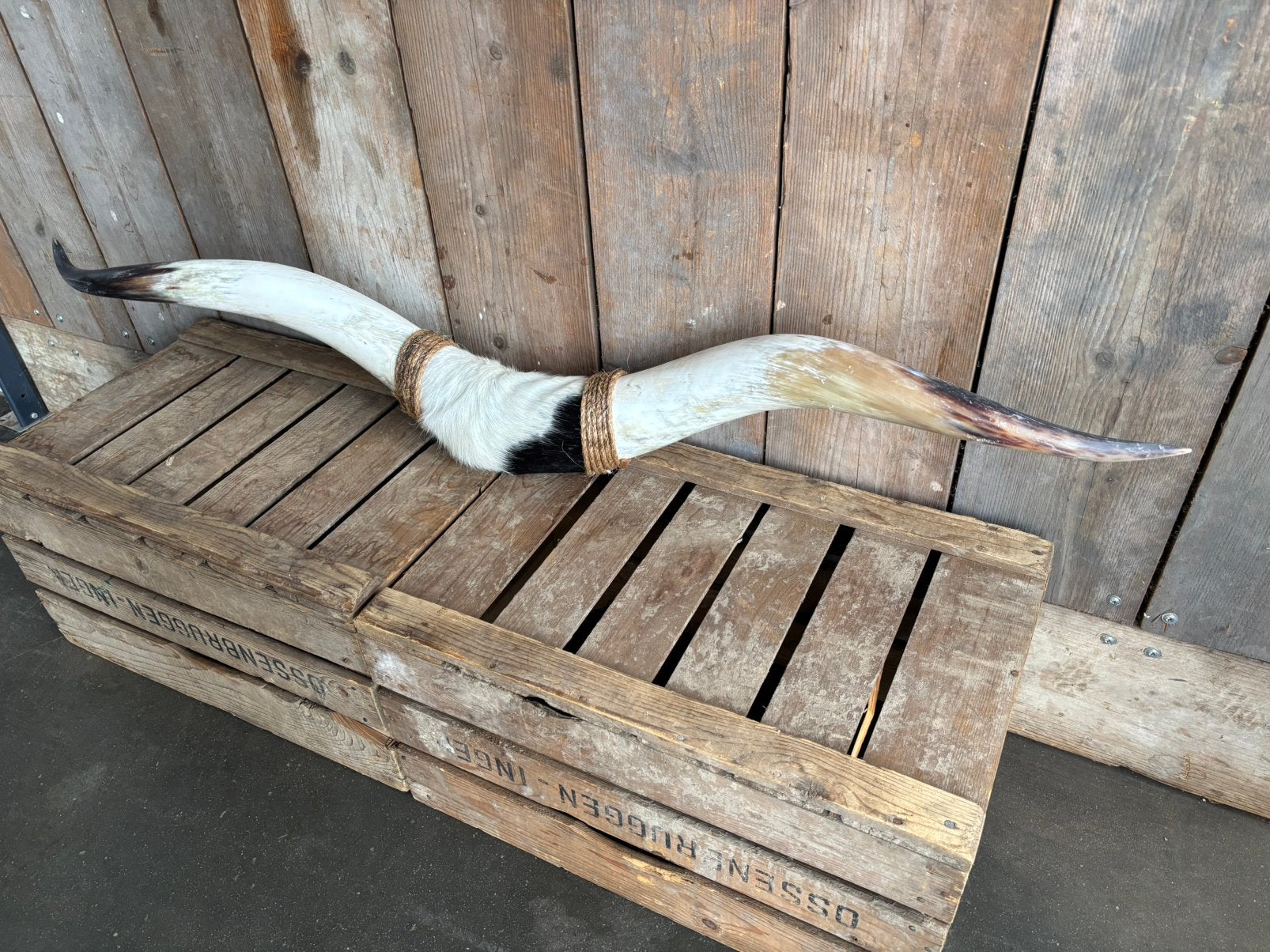 Mooie stoere Bullbar! (4), Ophalen, Nieuw, Overige soorten, Overige typen