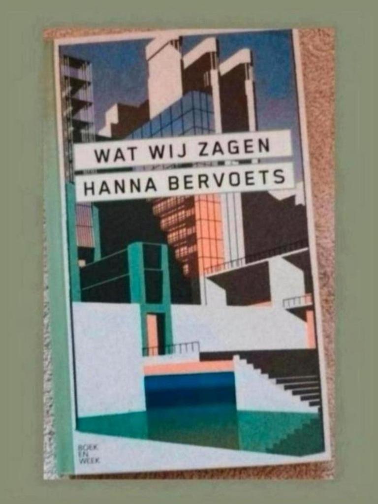 Wat Wij Zagen - Hanna Bervoets (Boek), Boeken, Ophalen of Verzenden, Zo goed als nieuw, Hanna Bervoets, Nederland