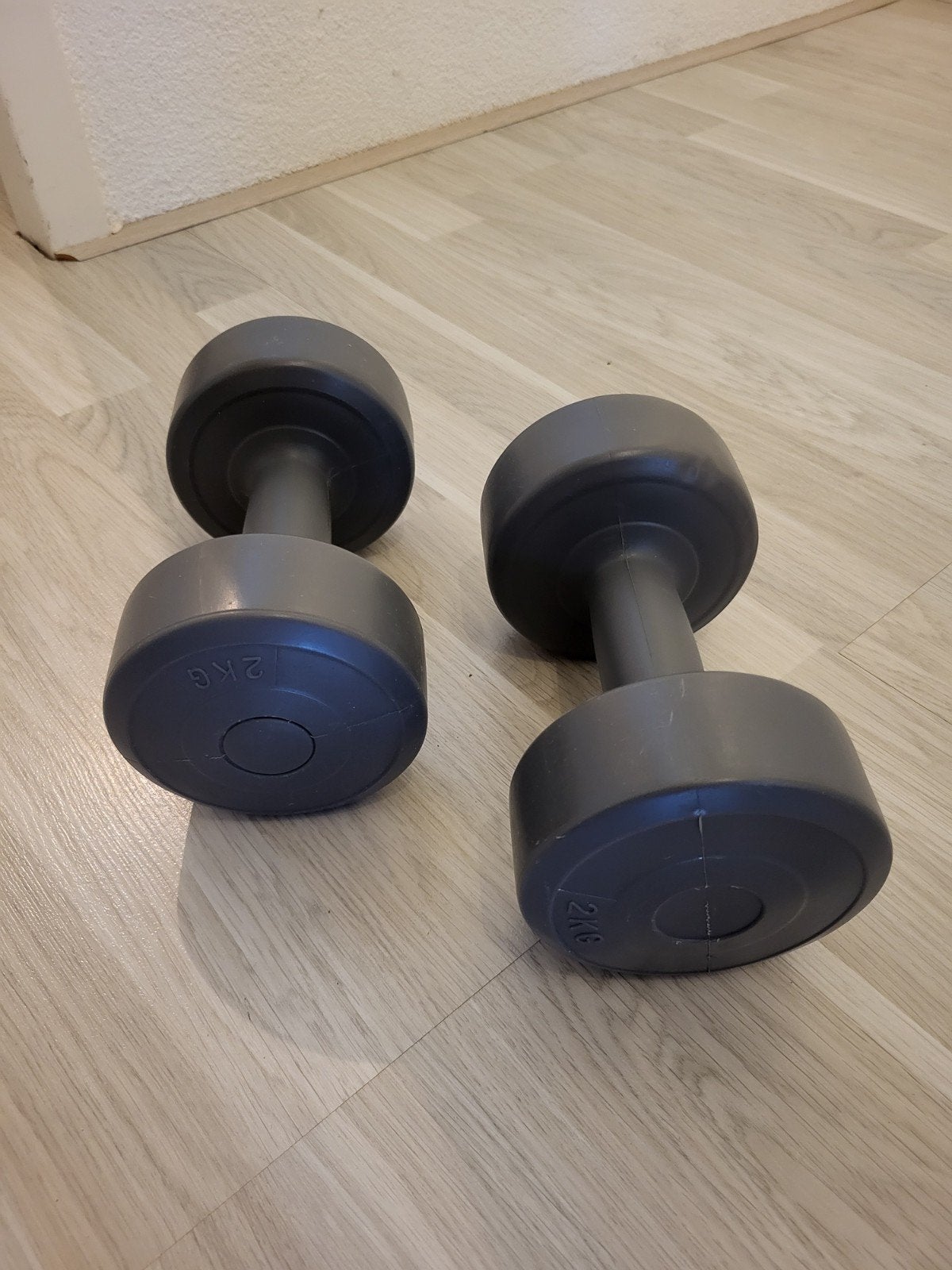 2x 2kg gewichten, Sport en Fitness, Fitnessmaterialen, Ophalen of Verzenden, Zo goed als nieuw, Buik, Dumbbell