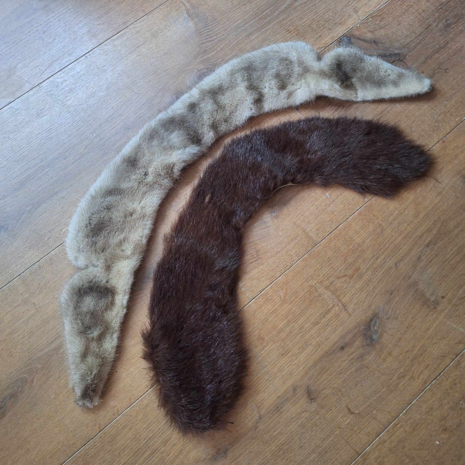2 echte bontjes kraag bont antiek vintage, Ophalen of Verzenden, Gebruikt, Overige typen