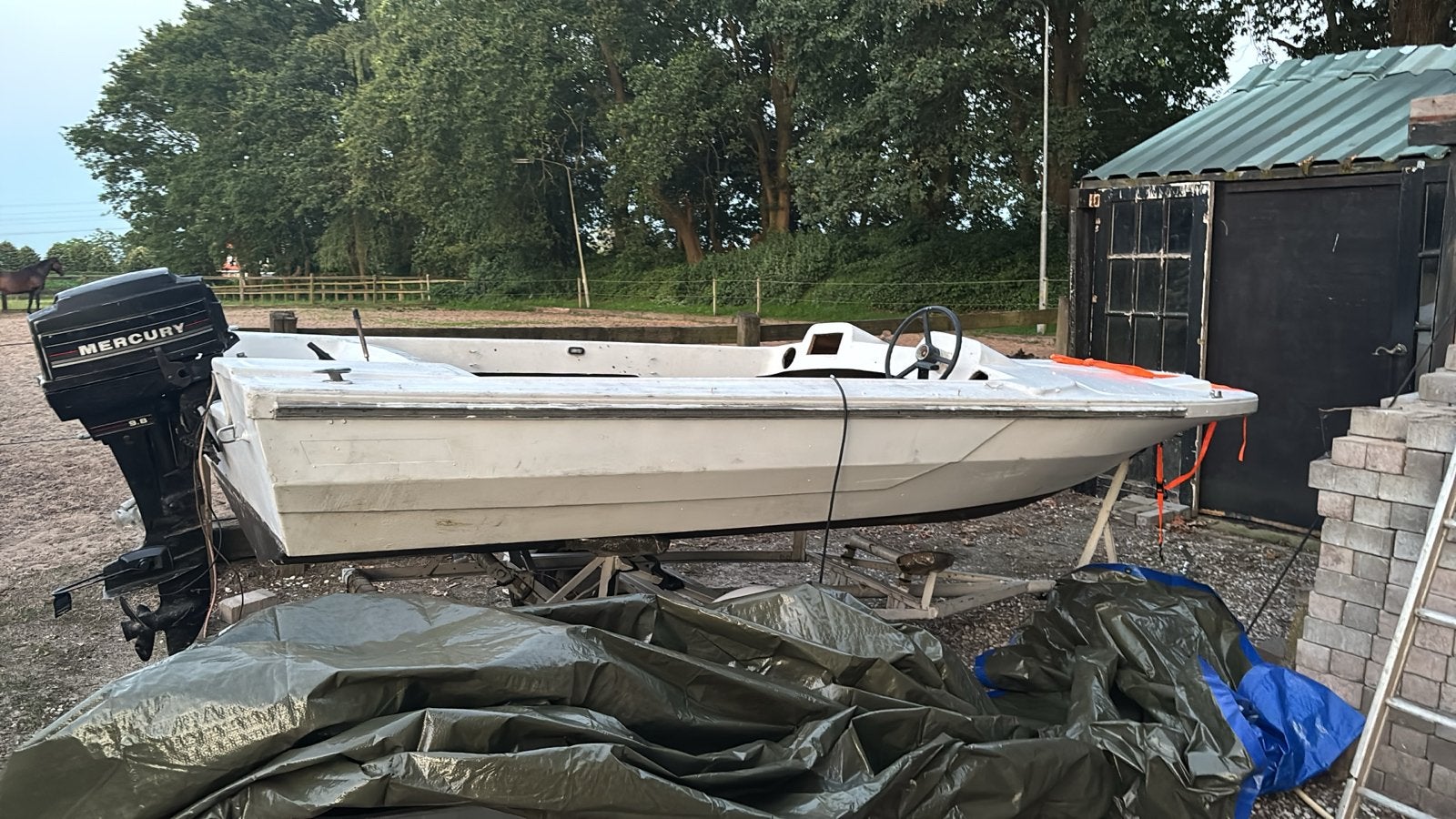 Speedboot met Mercury motor en trailer, Ophalen, Gebruikt