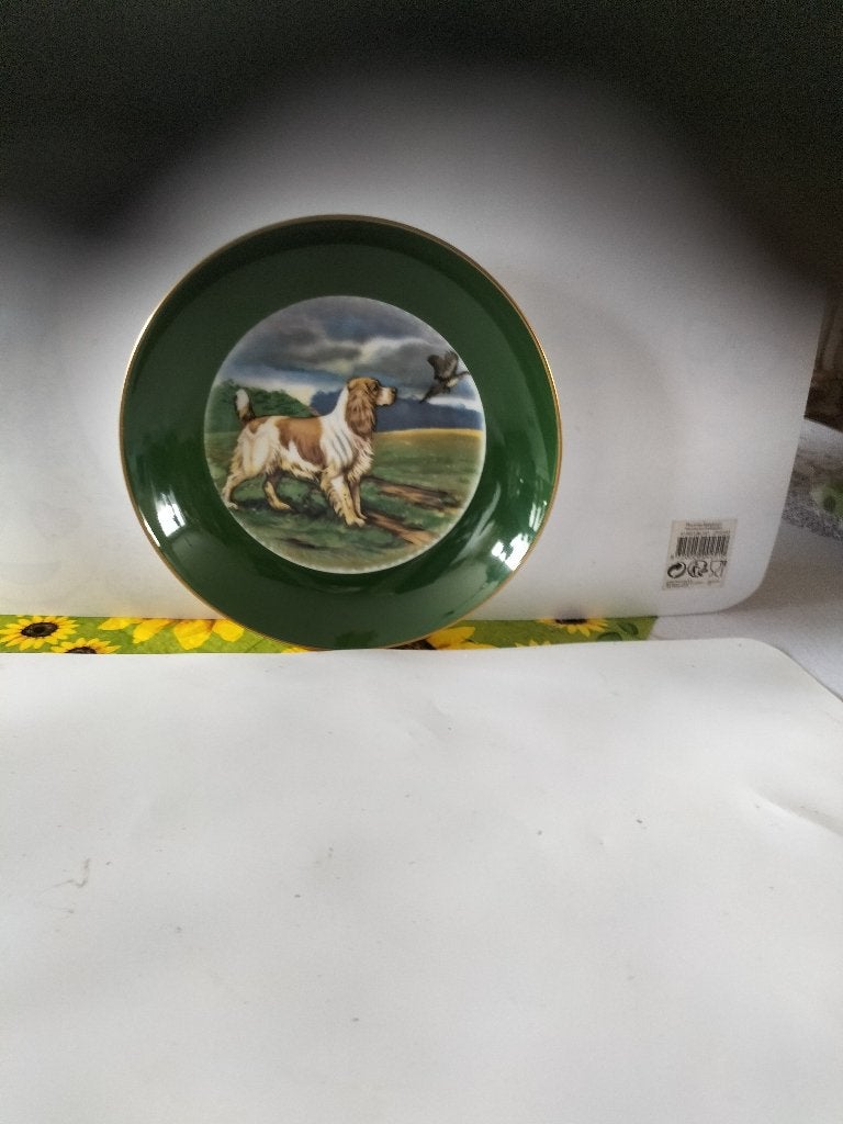 Te koop Welsh  Springer Spaniel op wandbord, Ophalen of Verzenden, Zo goed als nieuw, Overig