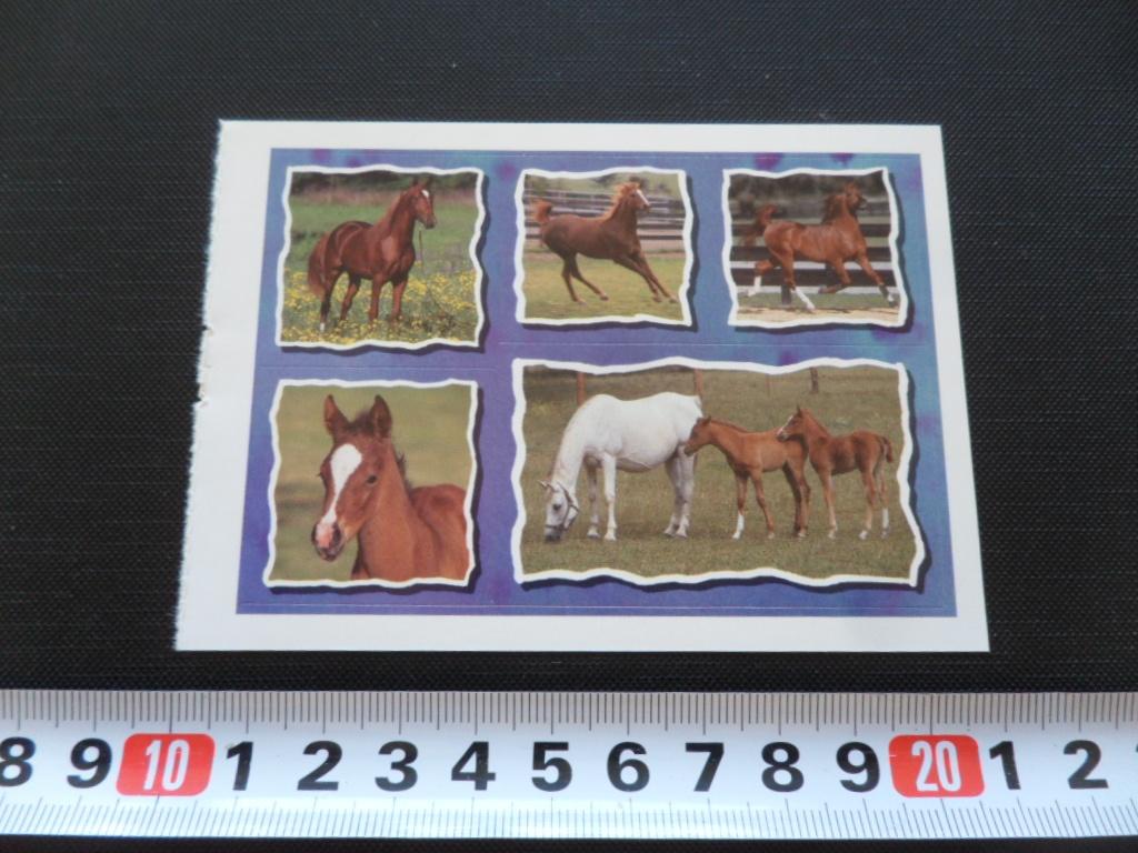 sticker Set Paard Paarden GD061, Verzamelen, Stickers, Zo goed als nieuw, Ophalen