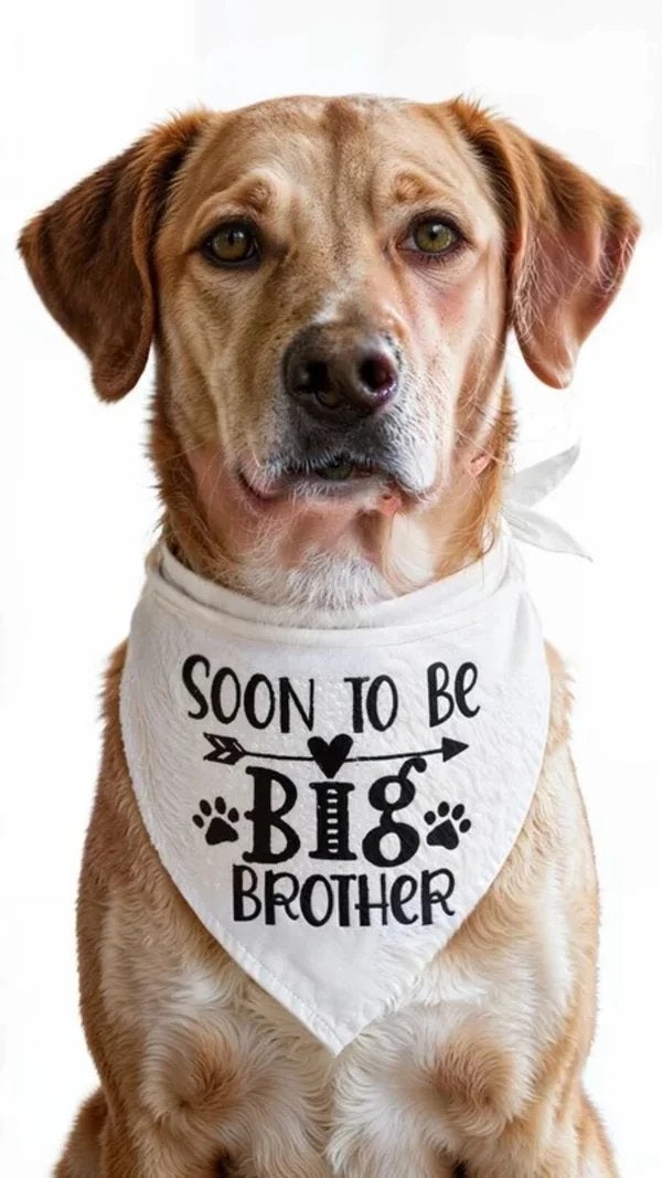 Honden bandana Big Sister en nog veel meer!, Overige typen, Nieuw, Ophalen of Verzenden, Info@sweet-one.nl