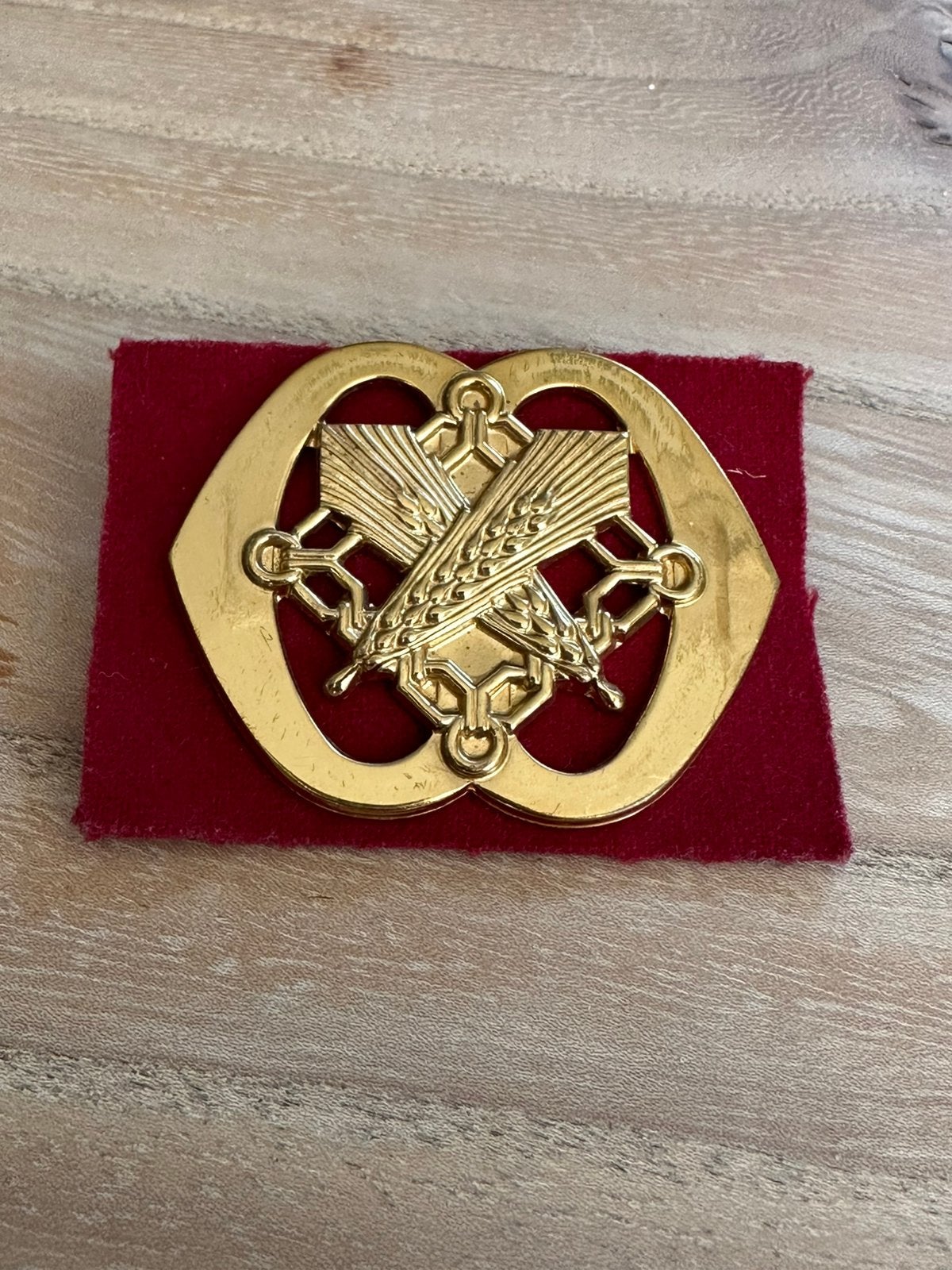 Mooi goudkleurig baretembleem NL Regiment Intendance, Ophalen of Verzenden, Landmacht, Nederland, Embleem of Badge