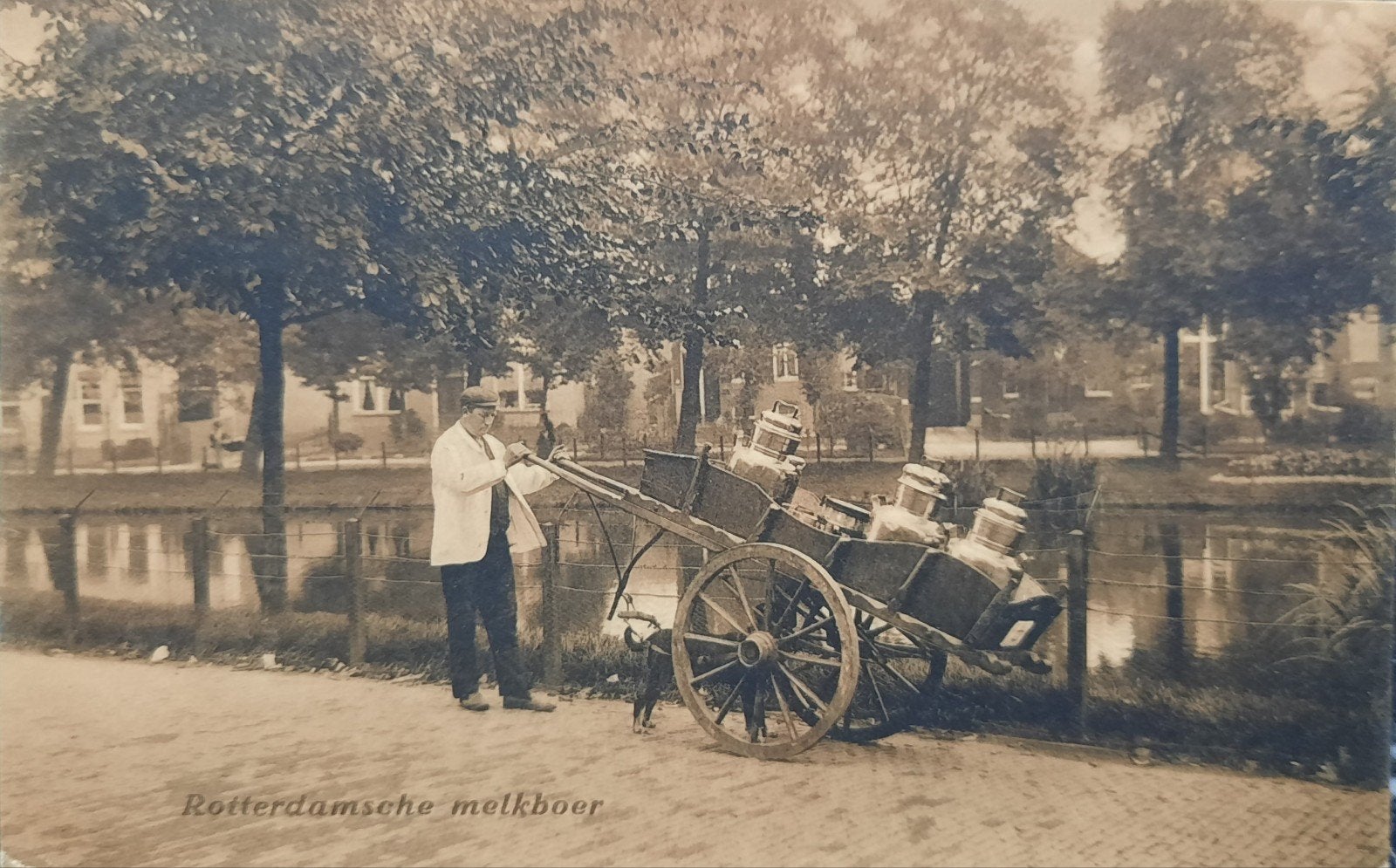 Ansichtkaart Rotterdamse melkboer, Ophalen of Verzenden, Voor 1920, Gelopen, Zuid-Holland