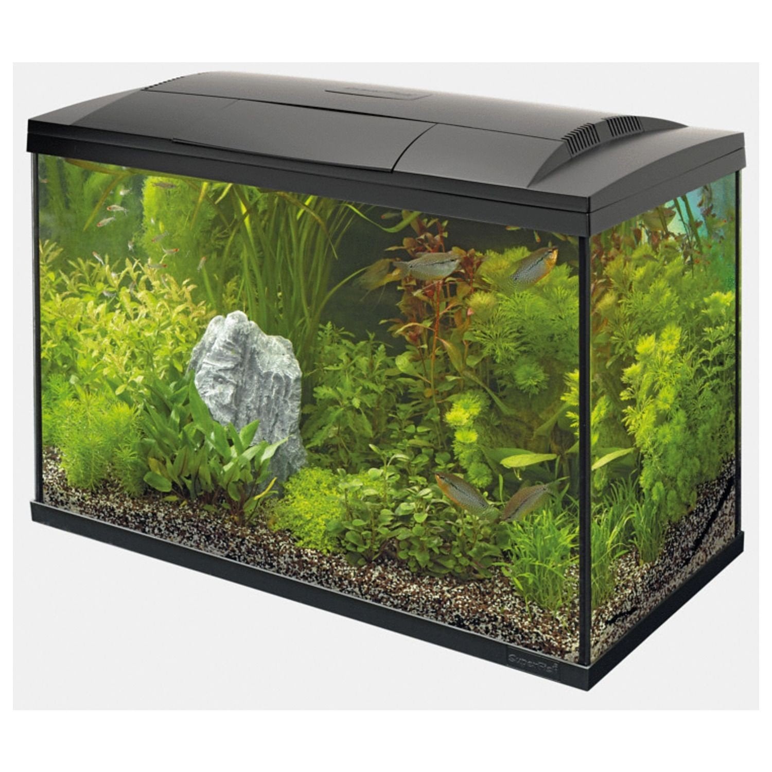 Superfish 100 Tropical- Aquaria - 68x35x51 cm Zwart, Ophalen, Zo goed als nieuw, Aquael, Inclusief deksel
