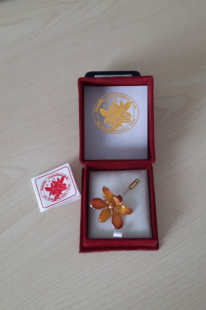 Nieuw BAI ORCHID ORCHIDEE BROCHE / 24 karaat GOUD 4 x 5 cm, Overige materialen, 4 tot 7 cm, Nieuw, Ophalen of Verzenden
