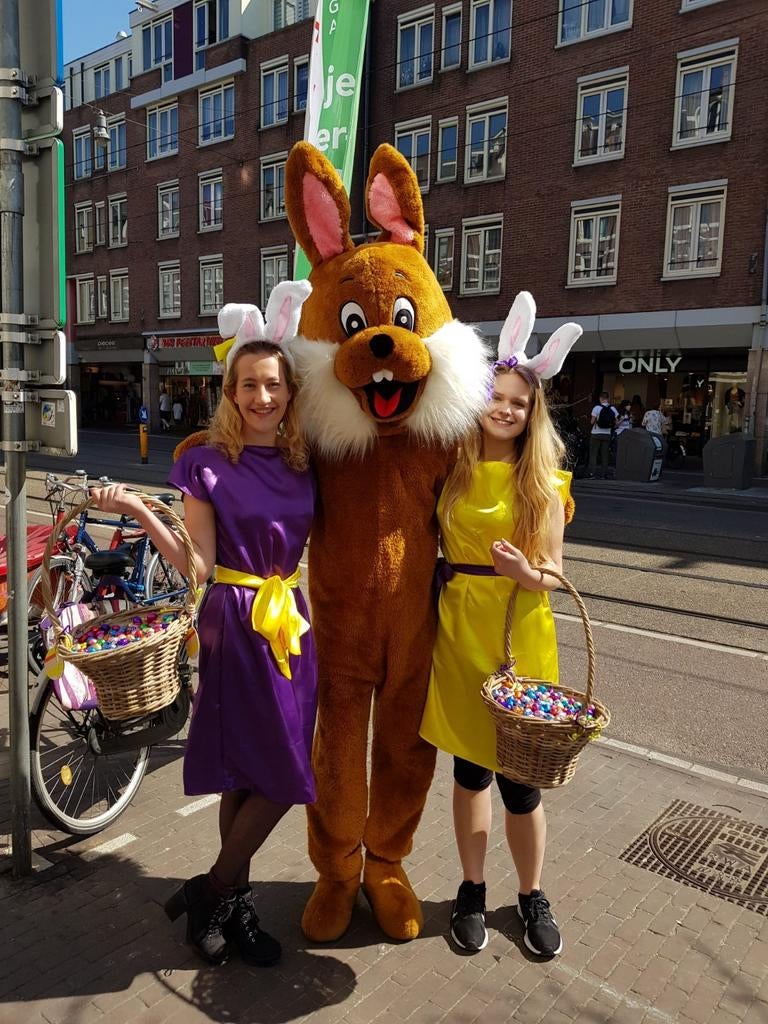 Paashaas mascotte verhuur, Ophalen, Nieuw, Pasen