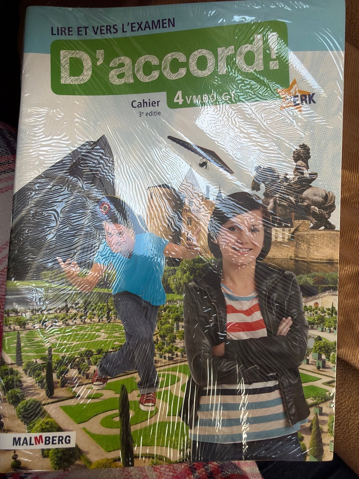 D'accord! Cahier 4 VMBO-GT 3e editie - Frans, Boeken, Ophalen of Verzenden, Nieuw, VMBO, Frans