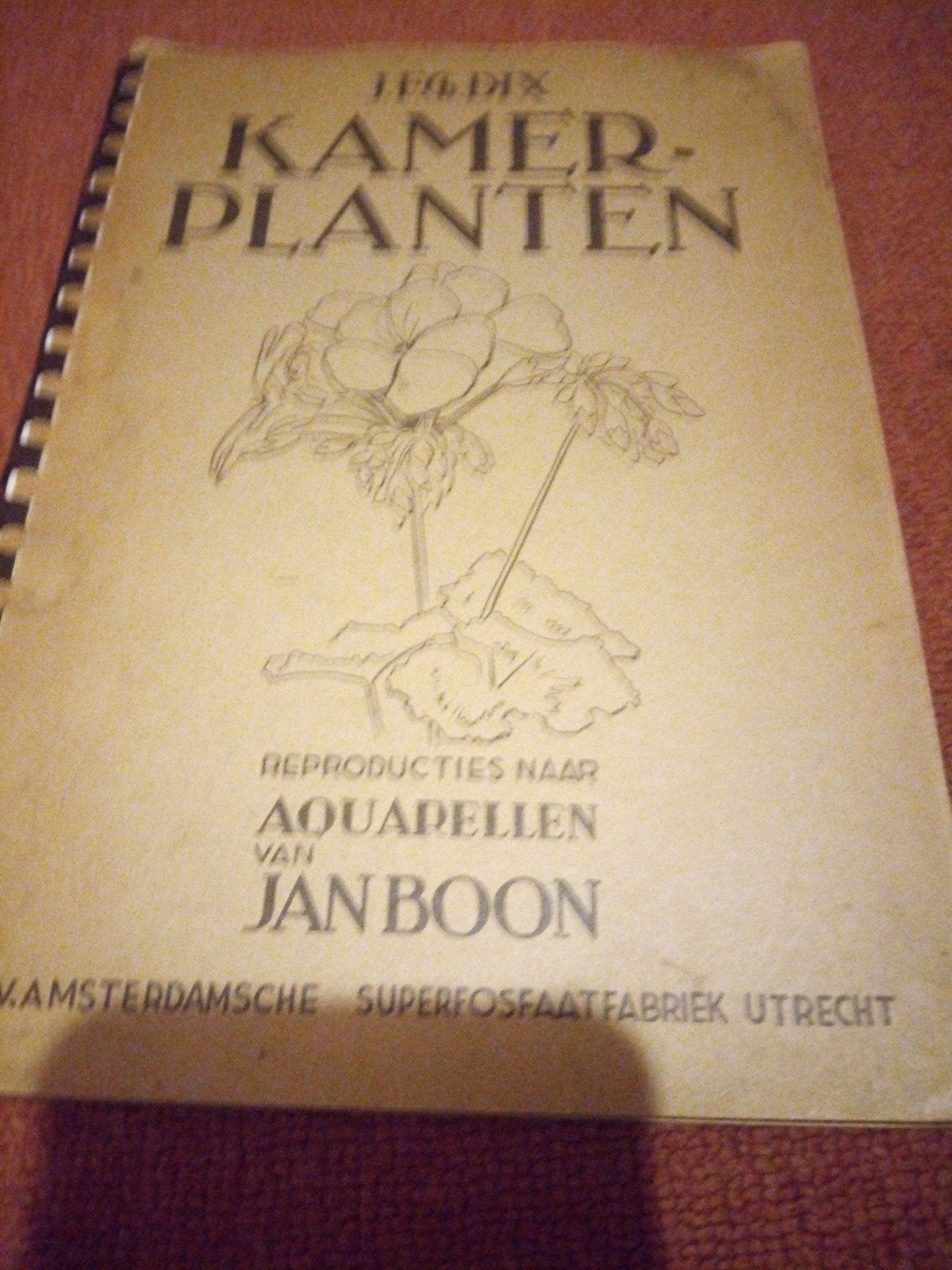 Kamerplanten - Aquarellen van Jan Boon, Verzenden, Gelezen, Jan Boon, Kamerplanten
