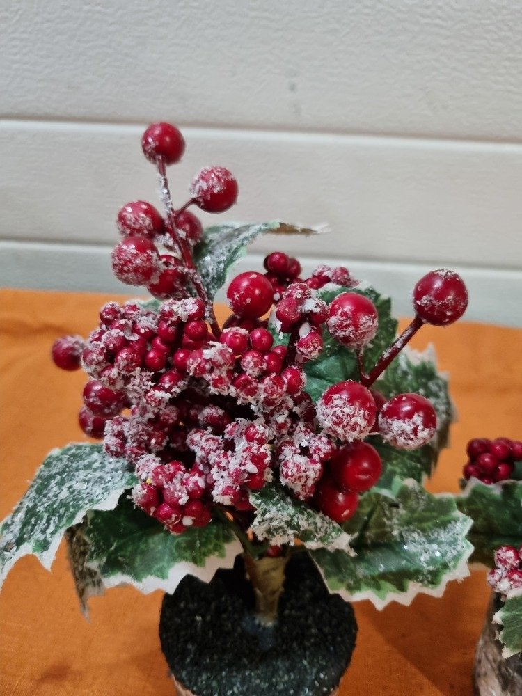 kerst decoratie planten hulst met bessen, Ophalen of Verzenden, 'T Olde Gre-j, Info@toldegrej.nl, Endepoelstraat 20f Didam