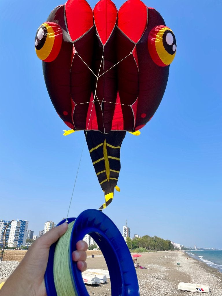 Grote Parafoil Kikkervis Vlieger 2 meter bij 5 meter, Ophalen of Verzenden, Nieuw, Eenlijns, Vlieger