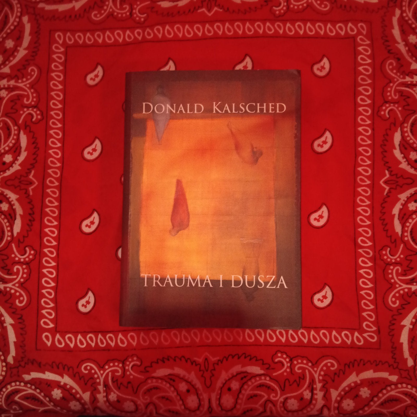 Trauma i Dusza - Donald Kalsched (Pools), Boeken, Ophalen of Verzenden, Zo goed als nieuw, Klinische psychologie, Donald Kalsched