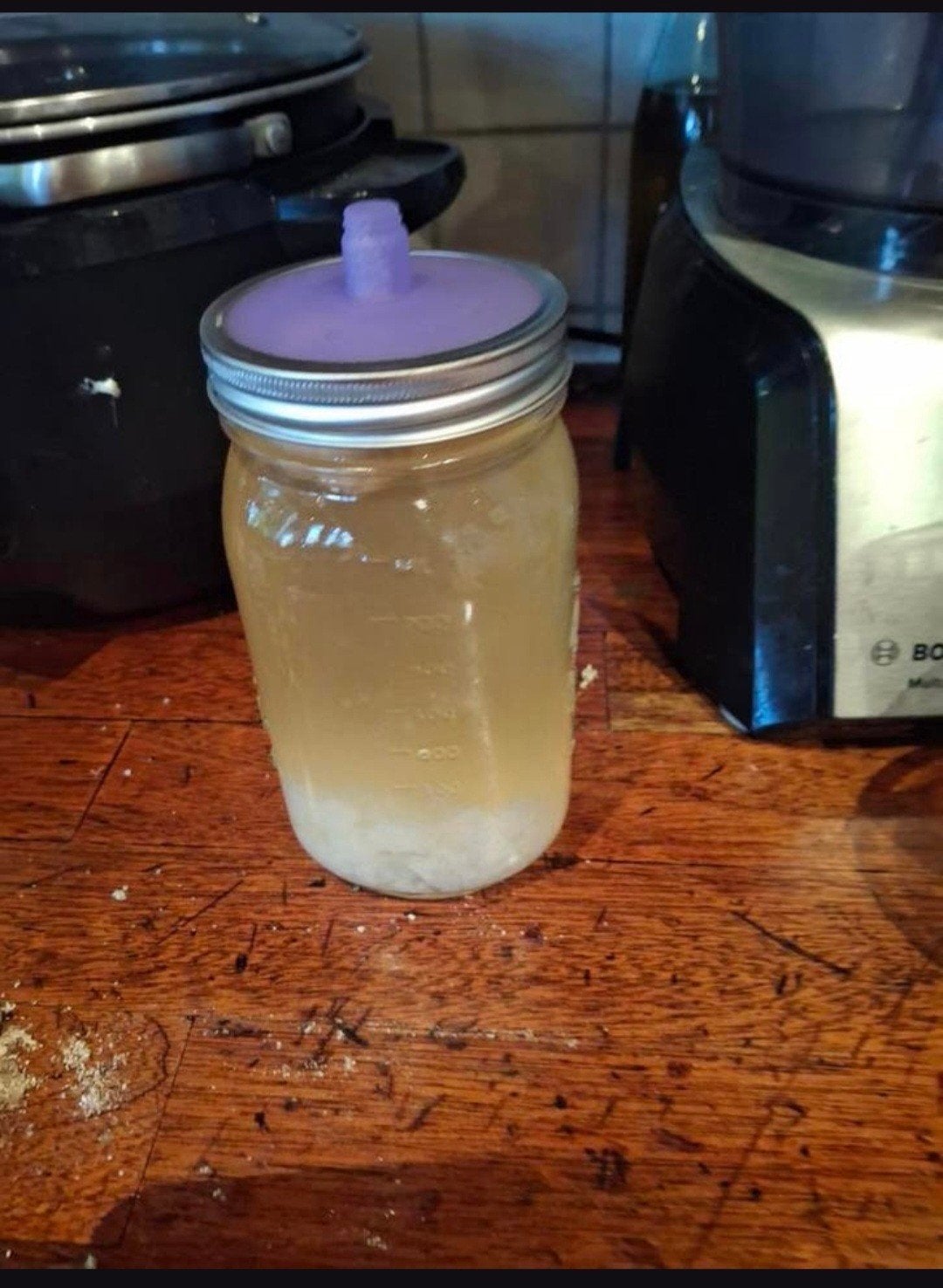Waterkefir op gefilterd water, Ophalen of Verzenden