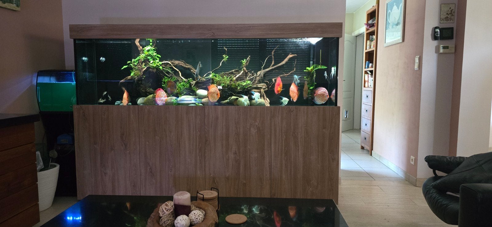 Volledig ingericht aquarium AQUALIFE met of zonder vissen., Ophalen, Inclusief deksel, Zo goed als nieuw, Gevuld zoetwateraquarium