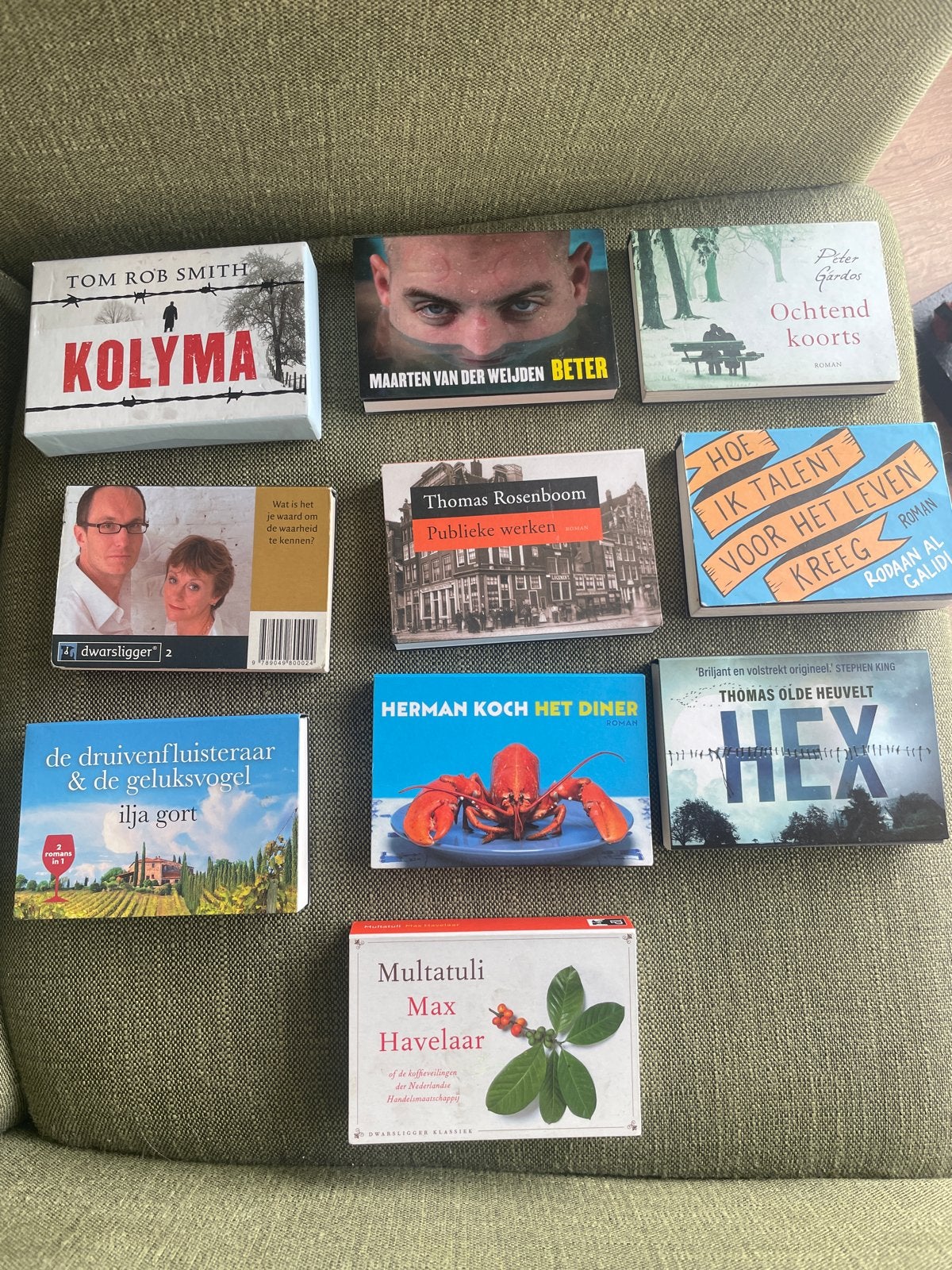 Diverse dwarsliggers: Kolyma, Beter, Ochtendkoorts en meer, Boeken, Romans, Ophalen, Zo goed als nieuw, Nederland