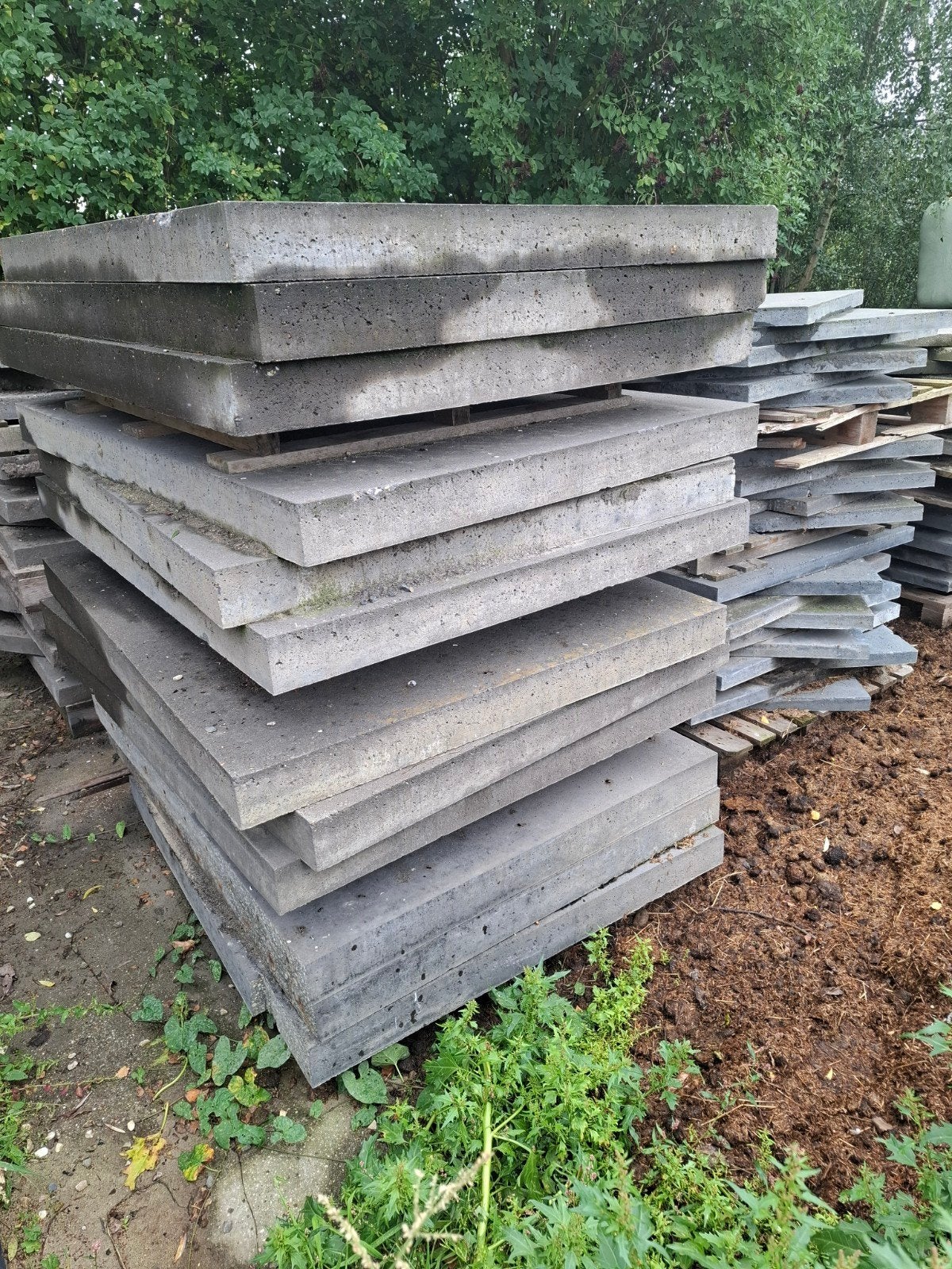 Schellevis betonplaat, Ophalen, Gebruikt, Beton, Terrastegels