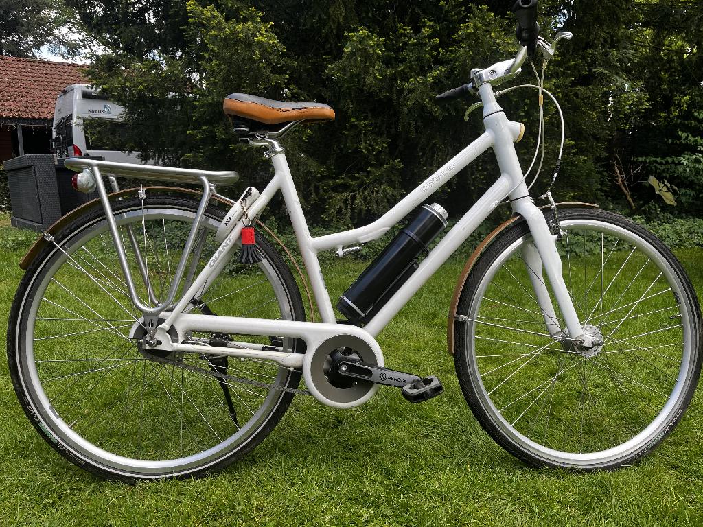 Unieke Giant Super Storm damesfiets Pendix middenmotor, Ophalen, Gebruikt, Giant, 50 km per accu of meer