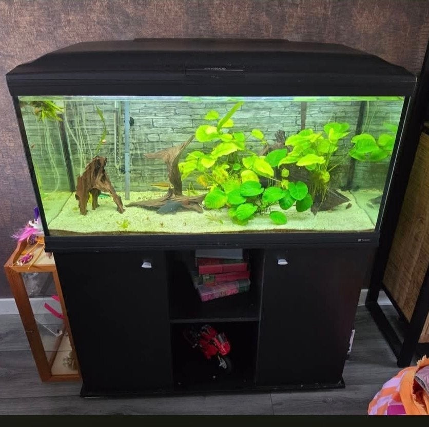 Aquarium met vissen en toebehoren, Dieren en Toebehoren, Ophalen of Verzenden, Gevuld zoetwateraquarium